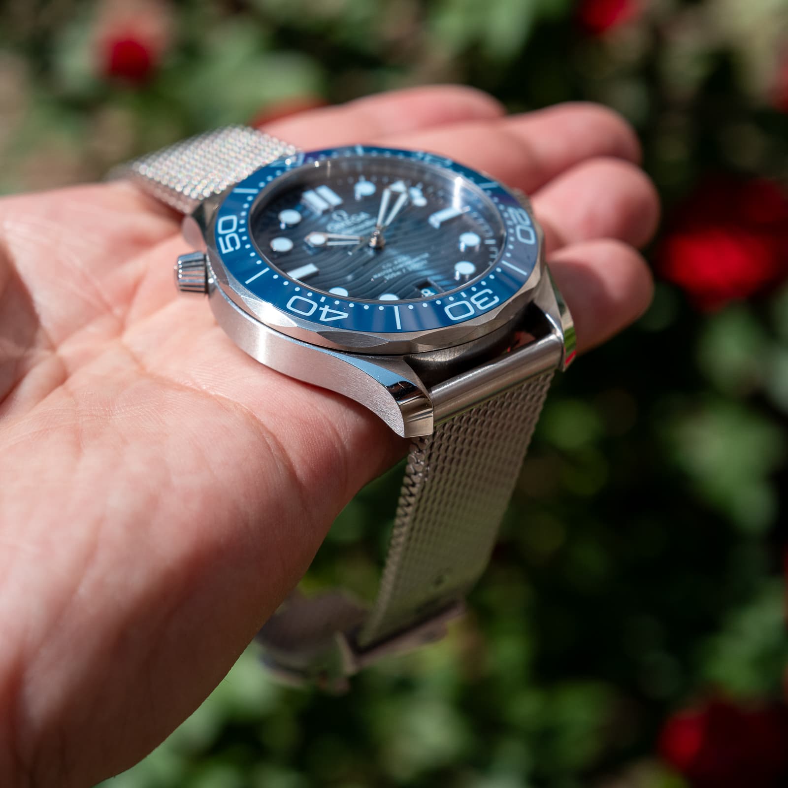 Omega Seamaster — image 2