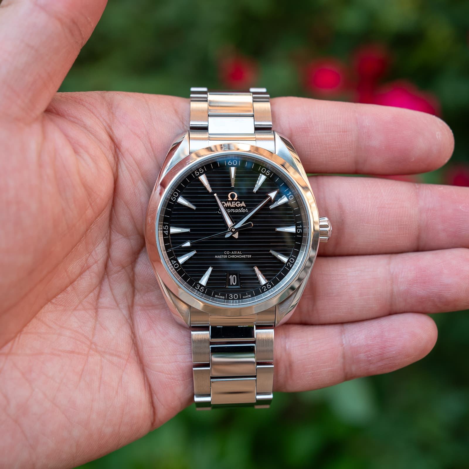 Omega Aqua Terra — image 1