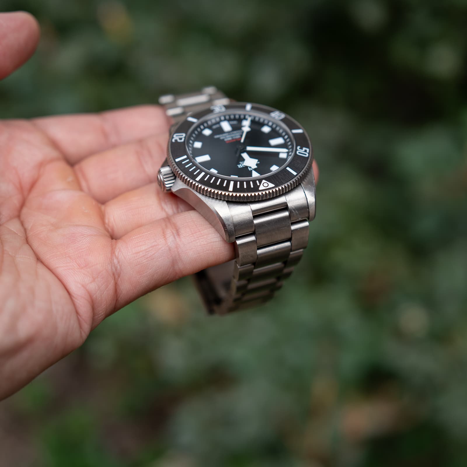 Tudor Pelagos — image 4
