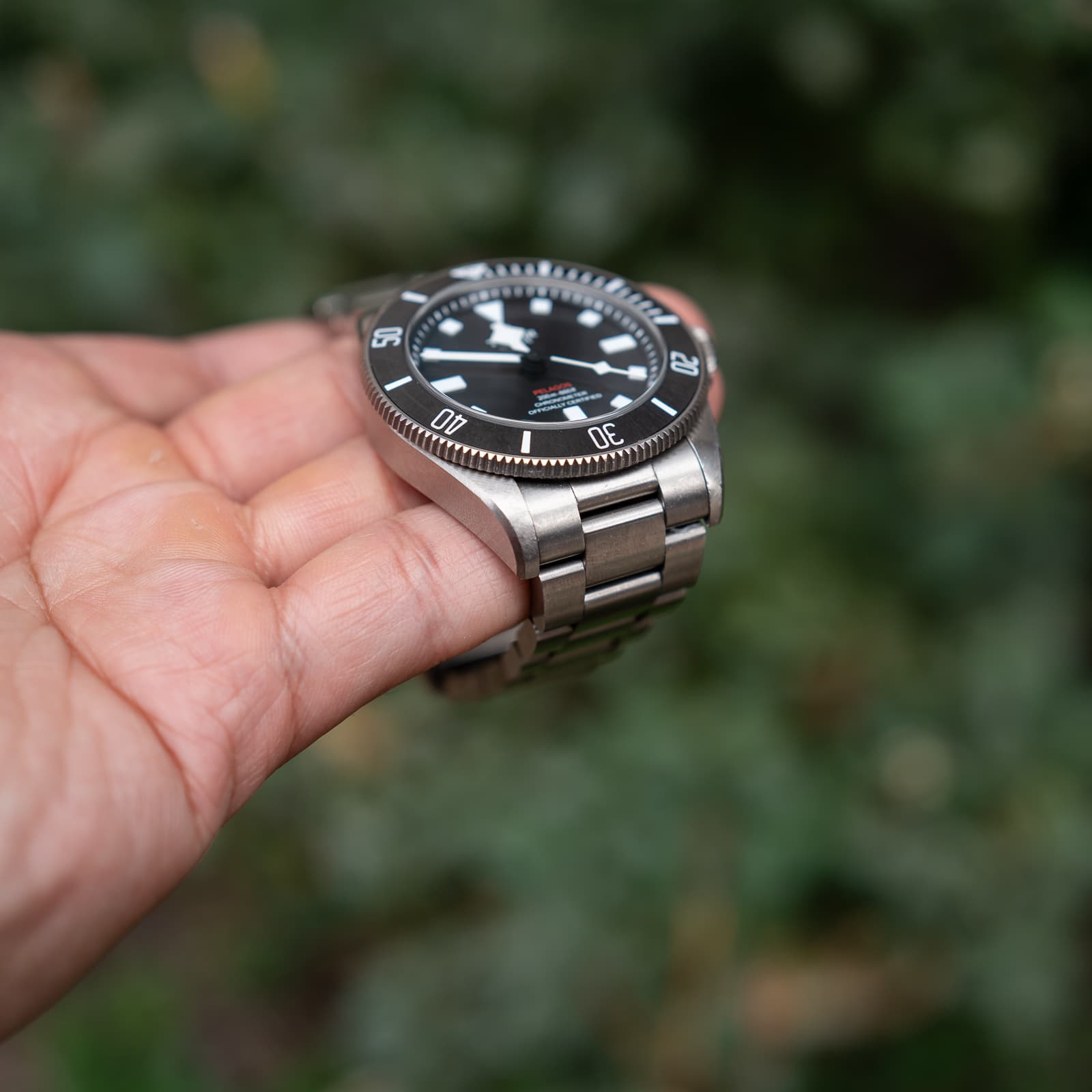 Tudor Pelagos — image 2