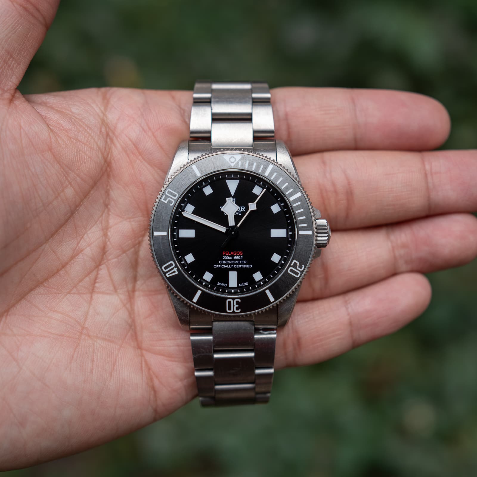 Tudor Pelagos — image 1