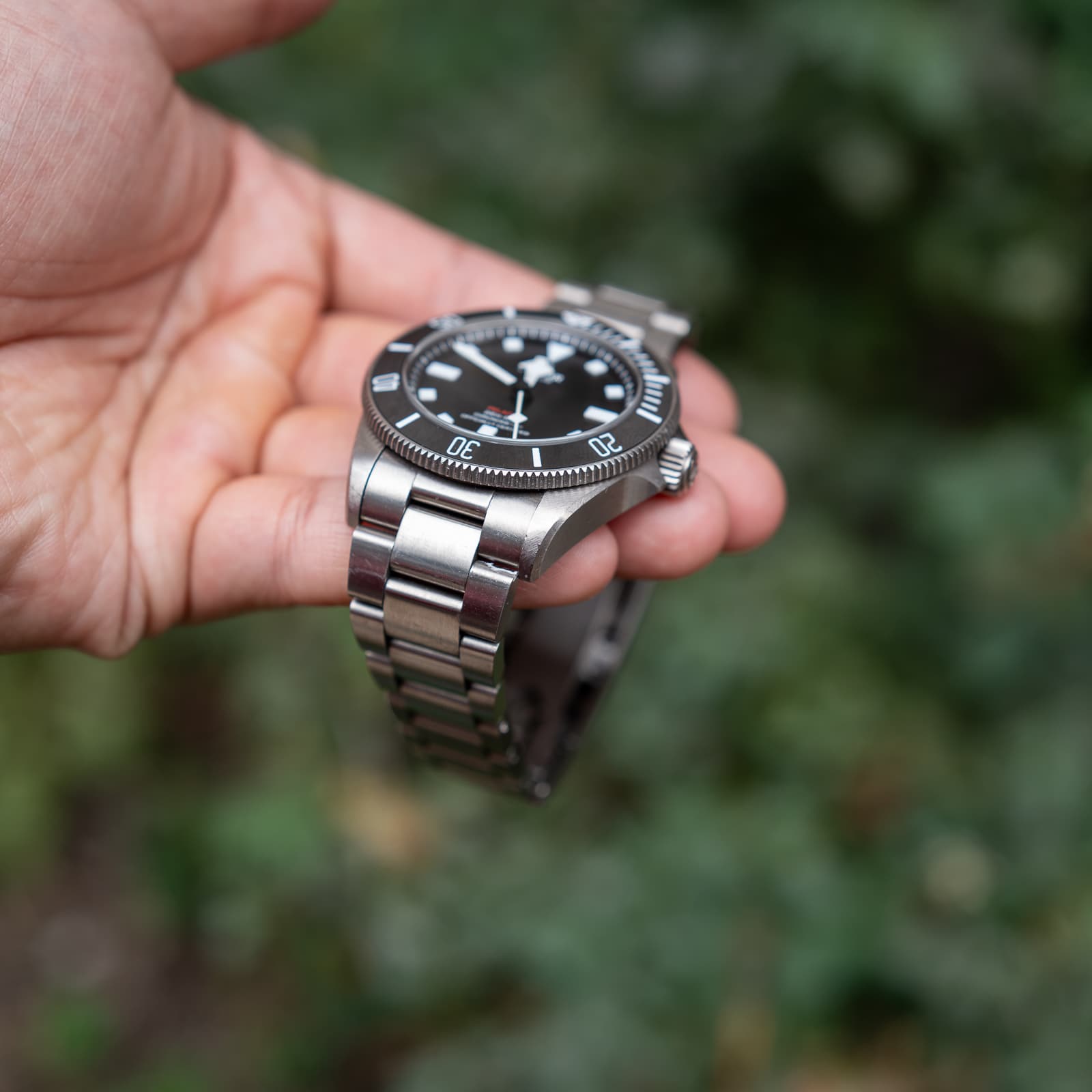 Tudor Pelagos — image 3