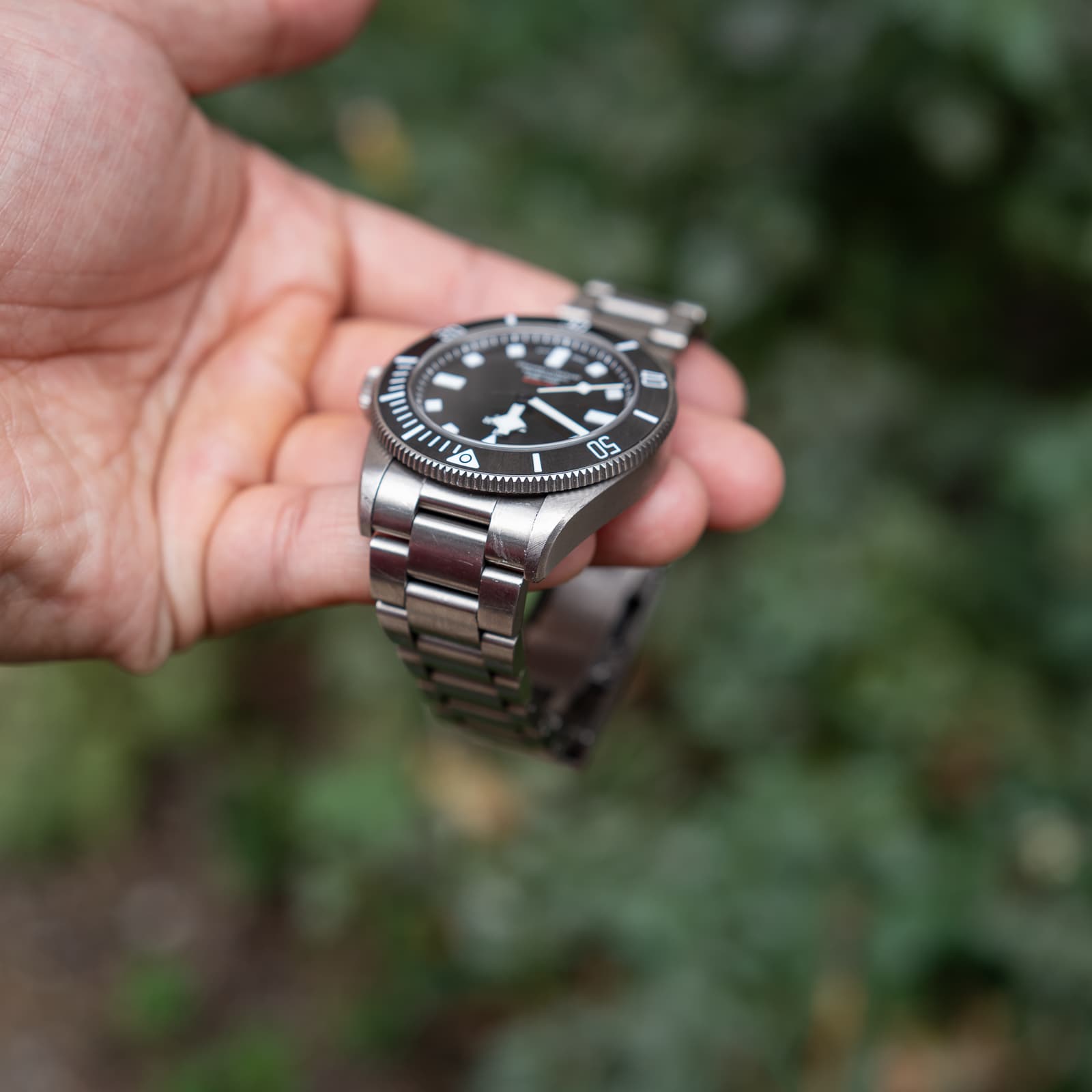 Tudor Pelagos — image 5